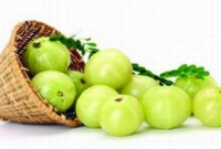 ১টি আমলকীর ২০টি উপকারিতা