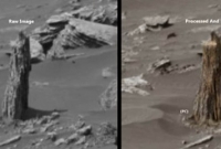 মঙ্গলের মাটিতে সন্ধান মিলল গাছ ও মাথার খুলির!