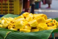 এবার চকোলেট তৈরি হবে কাঁঠাল বীজ থেকে