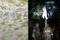 লালমনিরহাটে ঝড় ও শিলা বৃষ্টি, ফসলের ব্যাপক ক্ষতি