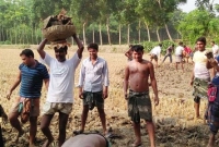 ইউপি চেয়ারম্যানের মাথায় মাটির ঝুড়ি