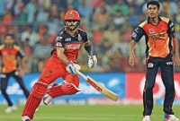  ব্যাটসম্যানদের প্যাড-গ্লাভস-জুতা রঙিন কেন জানেন?