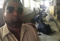 মহিষের মাংস খেতে মুসলমানদের সমস্যা কোথায়?: মি. বেগ