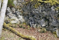 ছবিটিতে লুকিয়ে রয়েছে এক মহিলা, দেখুন খুঁজে পান কি না