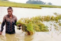 'ঘরে খাওন নাই, হাতে কাজ কাম নাই, কেমনে বাঁচবাম'