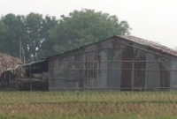 রাজশাহীতে ফের অভিযান শুরু