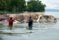  সমু্দ্রের জলে ভেসে উঠল দৈত্যাকার চেহারার এ কোন রহস্যময় জীব!