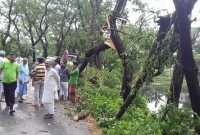 আকস্মিক ঝড়ে মুন্সীগঞ্জে ২০০ বাড়িঘর বিধস্ত