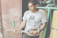 ছয় ফুট লম্বা সাপ তাজমহলে, পর্যটকদের মধ্যে হুলুস্থুল!