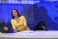 লাইভ খবরে হঠাৎ বেরিয়ে এল কুকুর! অতঃপর যা ঘটলো