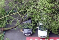 মস্কোয় শক্তিশালী ঘূর্ণিঝড়ে ১১ জনের প্রাণহানি