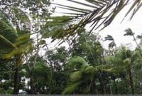 মোরা’র তাণ্ডব এখন ভারতের মণিপুরের দিকে, নিহত ৪