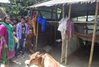 গোয়াল ঘরে শিয়ালে কামড়ানো সেই মায়ের বড় ছেলে গ্রেফতার