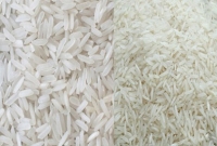 ভারতের বাজার ছেয়ে গেছে প্লাসটিক চালে!