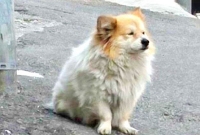 টানা তিন বছর এক জায়গায় বসে কার অপেক্ষায় ?