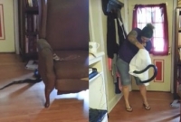 খালি হাতে বালিশের কভার দিয়ে সাপ ধরলেন মহিলা, তারপর যা হলো...