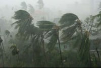  ঘূর্ণিঝড় ফণী: বরগুনায় নিহত ২