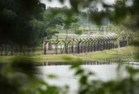 সীমান্তে বিএসএফের আঘাতে নিহত বাংলাদেশির লাশ উদ্ধার