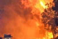 পর্তুগালে ভয়াবহ দাবানলে নিহত ২৪