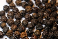 জেনে নিন, গোলমরিচ সম্পর্কে অবাক করা সাতটি অজানা তথ্য