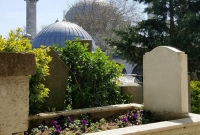 মৃত মেয়ে ফের বেঁচে উঠবে! ওঝার পরামর্শে কবর খুঁড়ে দেহ তুললেন বাবা-মা, তারপর যা হলো..