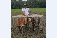 এবার লাঙল হাতে জমি চাষে এমপি জগলুল