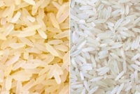 প্লাস্টিকের চাল বলে কিছু কি আসলেই আছে? জানুন তাহলে সত্যিটা