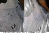  দাফনের সময় পলিথিনে ভেসে উঠল ‘লা ইলাহা ইল্লাল্লাহু মুহাম্মাদুর রাসুলুল্লাহ’