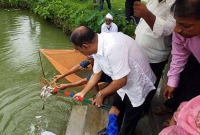 পলাশে মৎস্য সপ্তাহ পালন পলাশে মৎস্য সপ্তাহ পালন