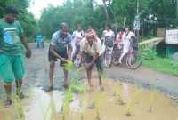 গাড়ি আটকে রাস্তায় ধানচারা, মেদিনীপুরে অবাক কাণ্ড!