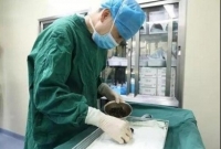  ৮ বছর ব্রেকফাস্ট না খেয়ে মহিলার কী হল? জানলে চমকে যাবেন আপনি