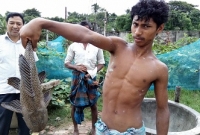 নরসিংদীতে পুকুরে ধরা পড়লো বিরল প্রজাতির মাছ