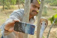 পদ্ম গোখরো সাপের সাথে সেলফি তুলতে গিয়ে বেঁহুশ যুবক