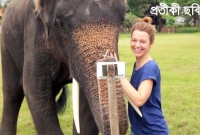 সেলফি তুলে গিয়ে হাতির পায়ে পিষে মৃত্যু হল যুবকের