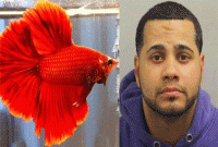 একটা মাছ 'খুন' করার অভিযোগে আদালত যে শাস্তি দিলো যুবককে, জানলে রীতিমতো  চমকে যাবেন