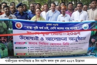 তিন দিন ব্যাপী ফলদ বৃক্ষ মেলার শুভ উদ্বোধন করলেন এমপি রিমি