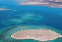 লোহিত সাগরে বিলাসবহুল রিসোর্ট বানাবে সৌদি আরব