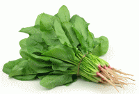 বয়স ধরে রাখতে চান? তাহলে এই খাবারটি খান...