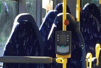 বলুন তো এই ছবিটি ‘বোরকা’ নাকি বাসের সিট? যে ছবি নিয়ে বিশ্বব্যাপী তোলপাড়