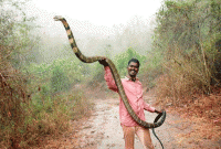 বিষধর সাপের ছোবল খেয়েছেন  ৩৮৮৩ বার! তাও বার বার সাপের মুখোমুখি হন ইনি