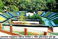 আজ ৫ই আগস্ট চুয়াডাঙ্গার শহীদ দিবস