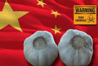 চীনা রসুন খেয়ে মারাত্মক ক্ষতির মুখে ভারতীয়রা