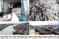  বিদ্যুৎ বিভ্রাটে বরফ সংকট দক্ষিনাঞ্চলের বৃহৎ মাছের মোকামে