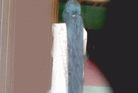 ঘন, লম্বা চুল কেটে ন্যাড়া হল ১৬ বছরের কিশোরী! অবাক সিদ্ধান্ত, তবুও মুগ্ধ সবাই...