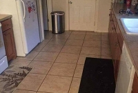 ছবিটিতে লুকিয়ে রয়েছে একটি কুকুর, দেখুন খুঁজে পান কিনা?