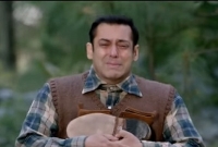 সাড়ে ৩২ কোটি রুপি ক্ষতিপূরণ দিলেন সালমান খান