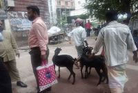 চাঞ্চল্যকর তথ্য! প্রতারণার ভয়ঙ্কর এক নতুন ফাঁদ যা আপনি কল্পনাও করতে পারবেন না