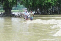 সিলেটে বন্যায় লক্ষাধিক মানুষ পানিবন্দি
