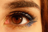 সব থেকে ভয়ঙ্কর: পেটে নয়, এই কৃমি বাসা বাঁধে চোখে, তারপর যা ঘটে