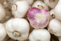 বাজারে ছেয়ে গেছে ‘ক্ষতিকারক’ রাসায়নিক রসুন! চিনবেন কীভাবে জেনে নিন..